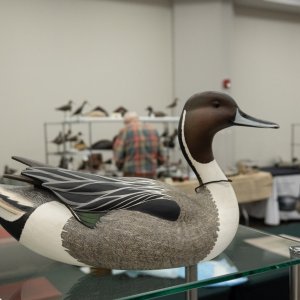 Island Outdoors Media TM-160.jpg