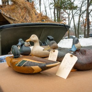 Island Outdoors Media TM-134.jpg