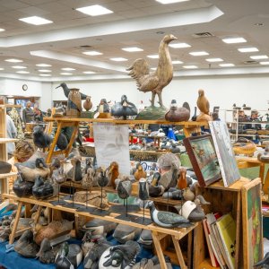 Island Outdoors Media TM-96.jpg