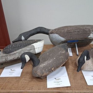 sm 10 Goose Decoys 3.jpg