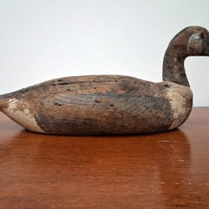 sm 11 Unknown - Bennett III - Port profile.jpg