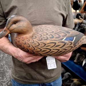 sm 15 SJS Mallard Hen 1985.jpg