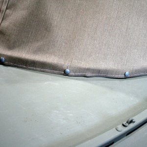 sm snaps on dodger.jpg