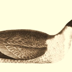 A Wilson BxW Sepia warm.jpg