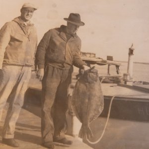 Island Outdoors Media TM-34.jpg