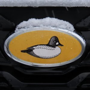 sm Whistler logo on Subaru Forester.JPG