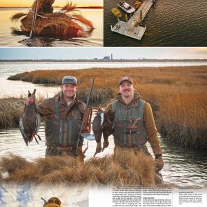 Island Outdoors Mfedia TM-171 copy.jpg
