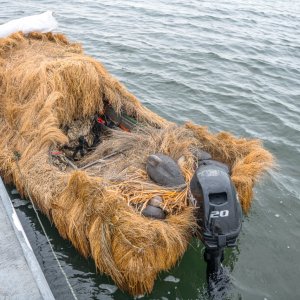 Island Outdoors Media TM-34.jpg