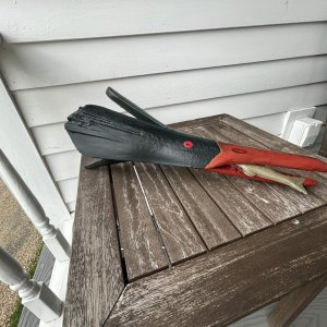 IMG_5356.JPEG