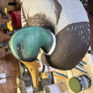 IMG_5002.jpeg