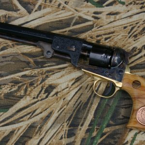 Pecan51Navy.JPG