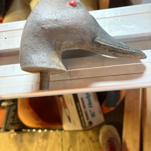 IMG_5042.jpeg