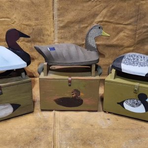 ducks and boxes.jpg