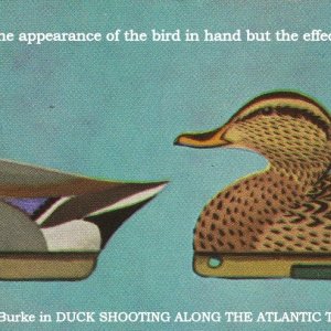 1 Dr. Edgar Burke quote with Mallards TEXT.jpg