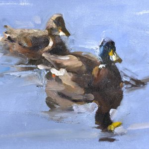 1b duck-impression-2k.jpg