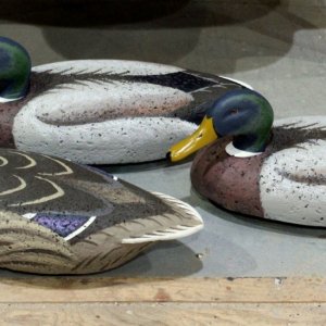 1d LL Beans Mallard Trio - Towles sm.JPG