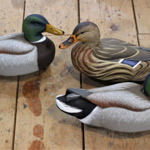 2 sm Homer Mallards - 3 done in shop.JPG