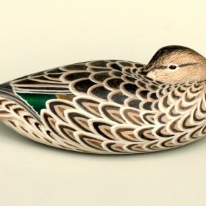 6 Greenwing Hen 1990 CROPPED.jpg