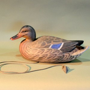 7 sm EAllen Mallard Hen.jpg
