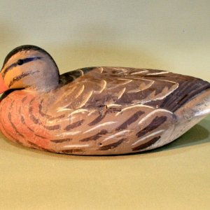 8 sm Herters 72 Mallard Hen - lowhead.jpg