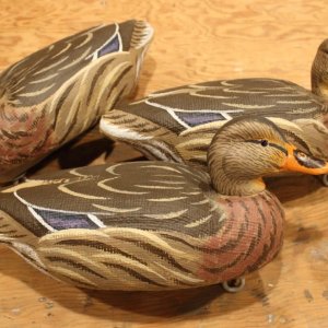 9 Model 63 Mallard Hens - threesome sm.JPG