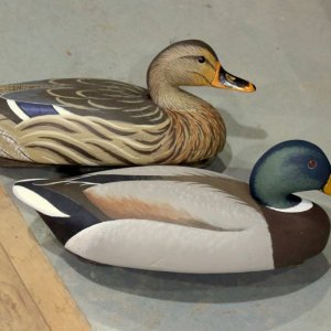 11 sm Dow Wildfowler Mallard pair.JPG