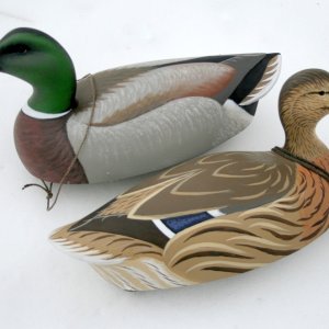 13 sm SJS hollow pine Mallard Pair in Snow.JPG