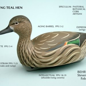 14 sm GWT Hen - BEHR PAINTS.JPG