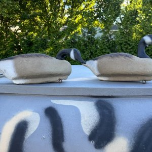 IMG_0231.jpeg