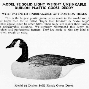 1 92 Canada Geese - Catalog # 58.jpg