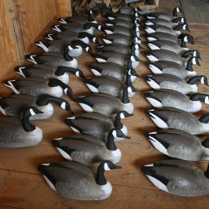 Goose Rig 3- small.jpg