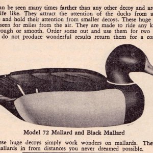 Herters 58 page 11 - Model 72 Black Mallard Inset.jpg