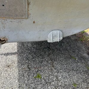 IMG_1433 Medium.jpeg