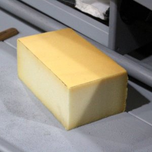 sm FT 18 Model Perfect Duckboat Sponge.JPG