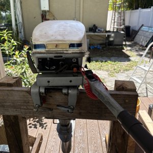 IMG_0246.jpeg