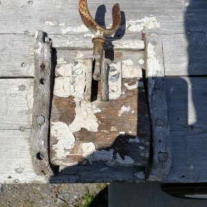 IMG_0778.jpeg