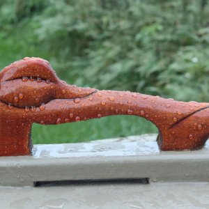 sm Bow Handle in rain.JPG