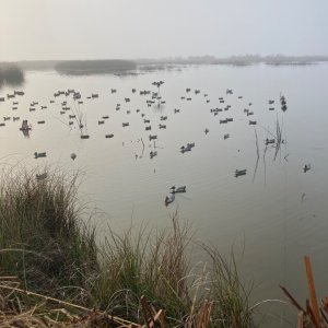 IMG_5048.jpeg