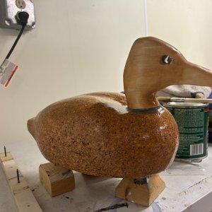 IMG_0230.jpeg