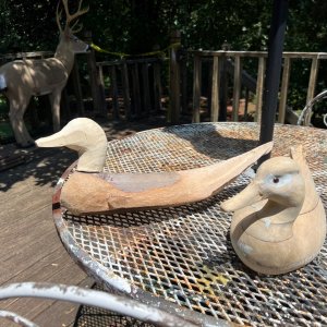 IMG_0683.jpeg
