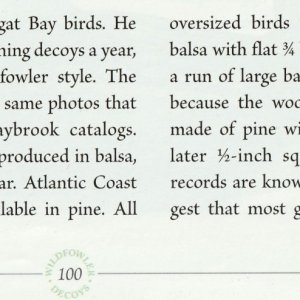 sm Birdsall 3.jpg