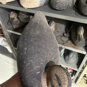 IMG_8170.jpeg