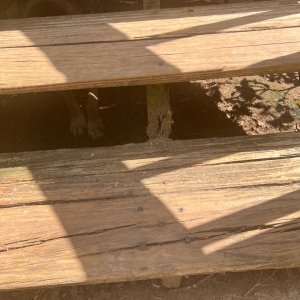 IMG_0777.jpeg