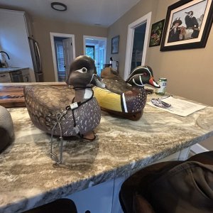 IMG_5496.JPEG