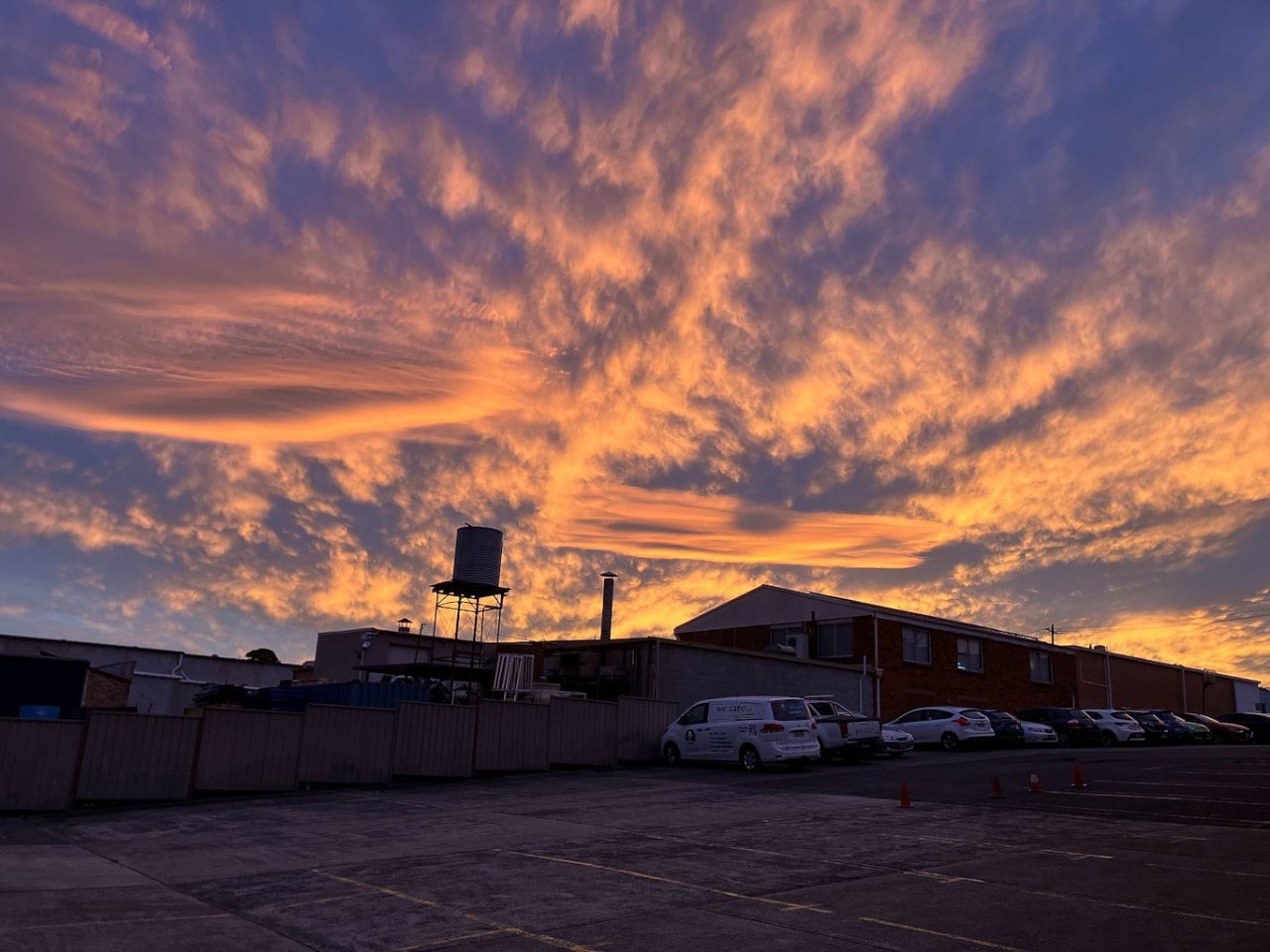 06 dusk.jpg