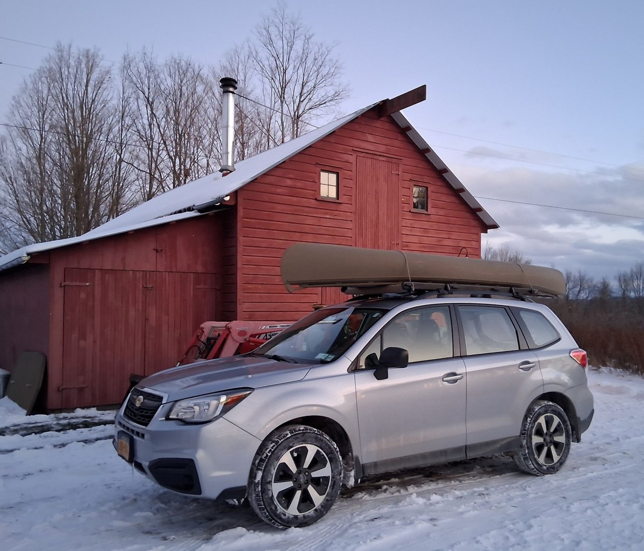 1 sm Sweet Gherkin on JackieBaru.jpg