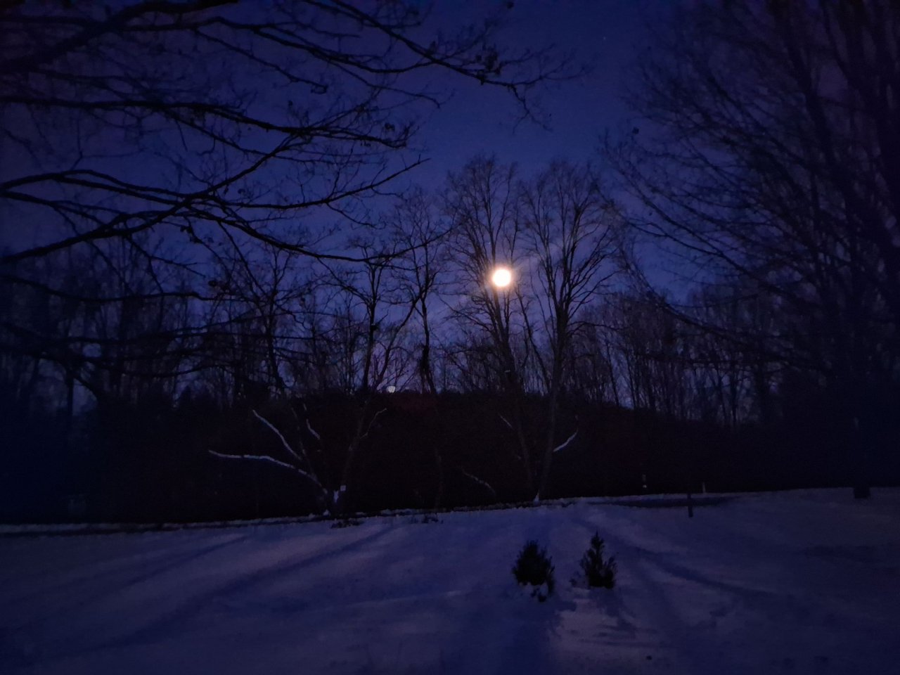 10 sm Moonset from farm 1.jpg