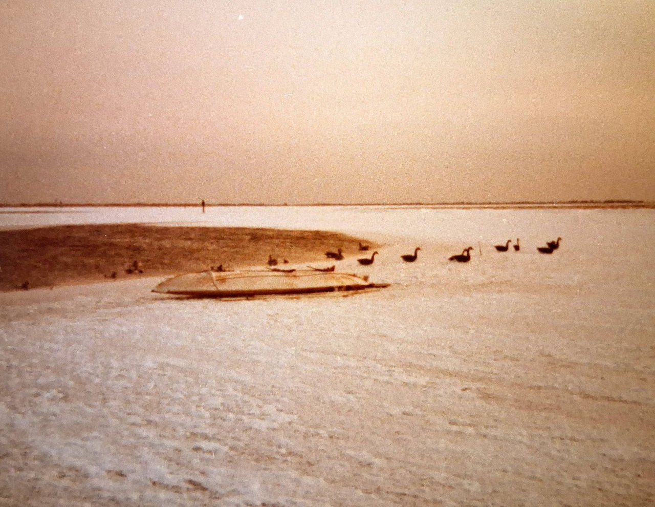 12 sm DeQ - Goose Rig and Scooter on ice 3.jpg