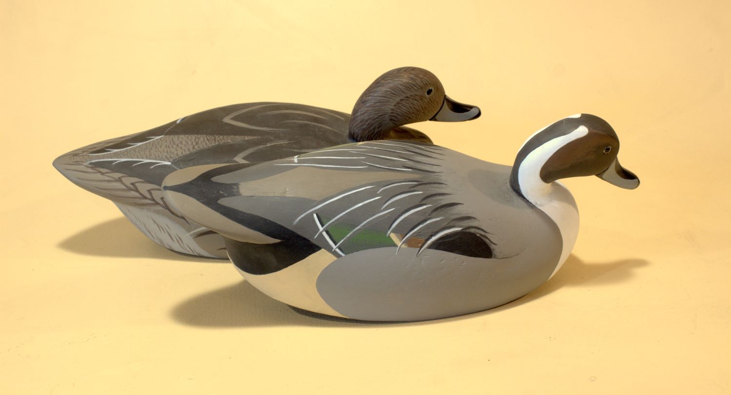 12 sm Wildfowler Pintail Pair - oblique portrait.jpg