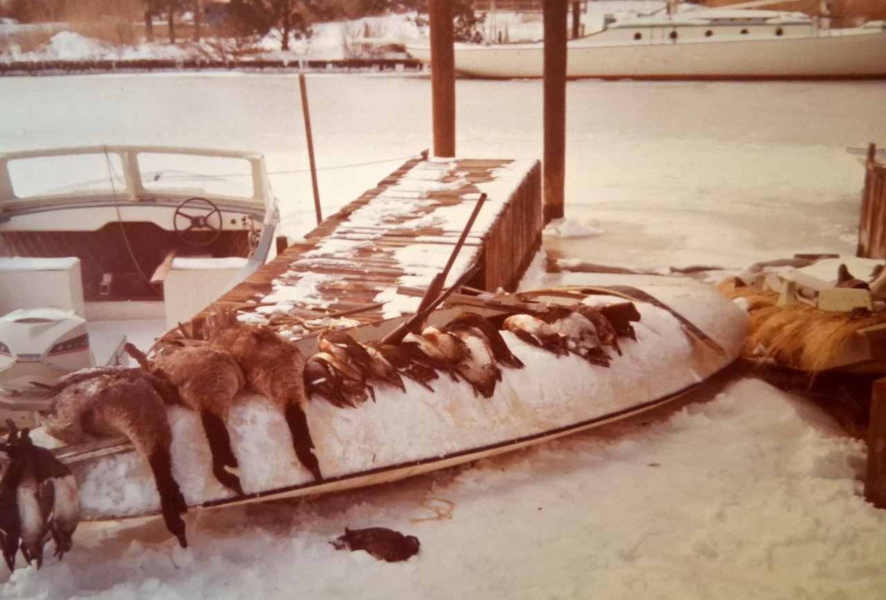 15 sm DeQ - Geese and Ducks on Scooter.jpg